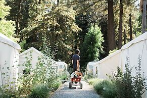 AutoCamp Russian River