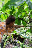 Savasi Island Resort