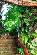 Savasi Island Resort