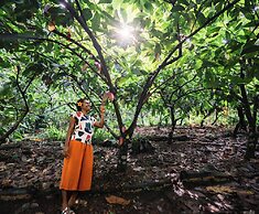 Savasi Island Resort