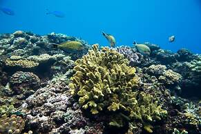 Savasi Island Resort