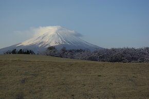 Togawaso