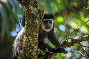 Miika Eco Resort Hotel