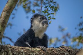 Miika Eco Resort Hotel