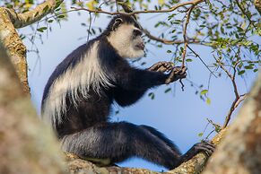 Miika Eco Resort Hotel