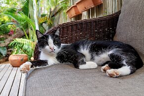 Mhlati Guest Cottages