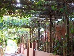 Residenza Le Due Palme