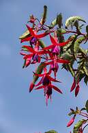 Hotel Ventura Chillan