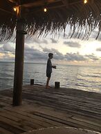 Blue Parrot Beach House