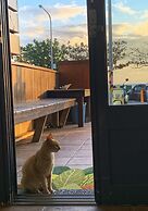 Sun Shune Pi Xiao Niuno Inn