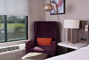 Hilton Garden Inn Atlanta Airport/Millenium Center