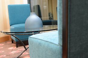 Hilton Garden Inn Atlanta Airport/Millenium Center