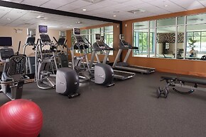 Hilton Garden Inn Atlanta Airport/Millenium Center