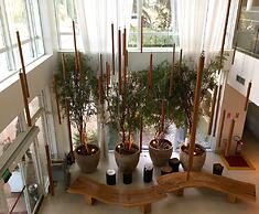 Mercure Salvador Rio Vermelho Hotel