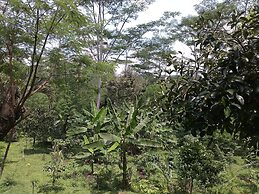 MesaStila Resort and Spa