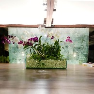 Costa Lanta - Adult Only