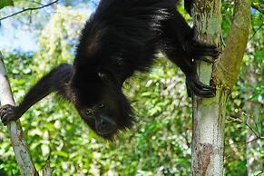 Abezza Resort And Adventure Spa