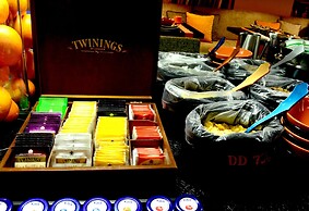 Charming House DD724