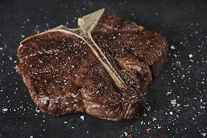 Seminole Hard Rock Hotel & Casino Tampa