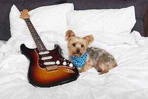 Seminole Hard Rock Hotel & Casino Tampa