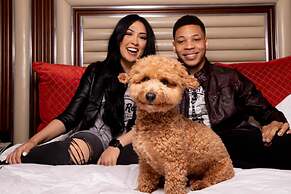 Seminole Hard Rock Hotel & Casino Tampa