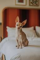 Royal Sun Palm Springs