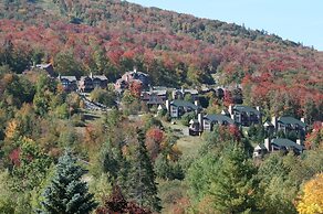 Townhomes at Bretton Woods
