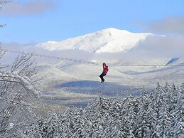 Townhomes at Bretton Woods