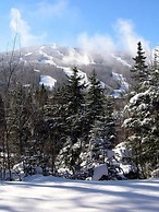 Townhomes at Bretton Woods