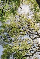 Hotel Matilda, a Member of Design Hotels