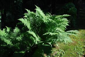 Hotel & Hostel Montarina