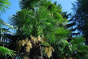 Hotel & Hostel Montarina