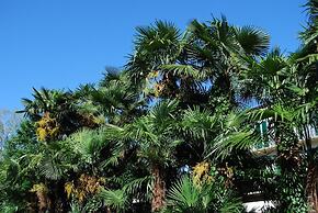 Hotel & Hostel Montarina