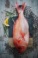 Mandala Ace Albany Hotel