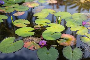 Motu Beachfront Art Villas