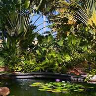 Motu Beachfront Art Villas