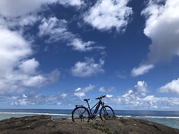 Motu Beachfront Art Villas