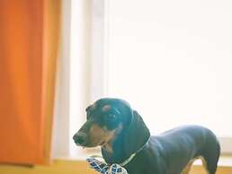 ibis London Excel Docklands