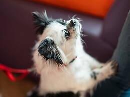ibis London Excel Docklands