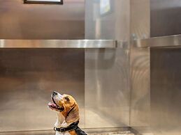 ibis London Excel Docklands