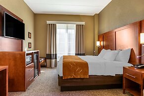 Comfort Suites Grand Rapids South