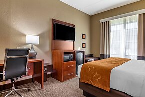 Comfort Suites Grand Rapids South