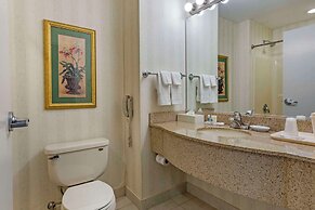 Comfort Inn & Suites East Greenbush - Albany