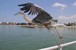 Peninsula Bed & Cocktails