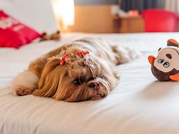 ibis Joinville