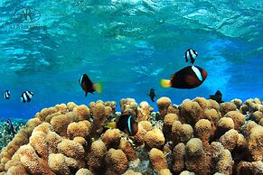 Aqua Resort Club Saipan