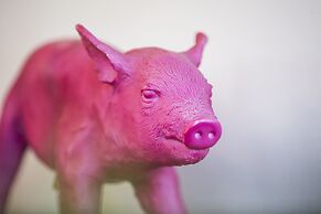 Auszeit Hotel Düsseldorf - das Frühstückshotel - Partner of SORAT Hote