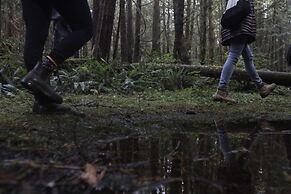 Tofino Resort & Marina