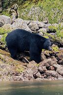 Tofino Resort & Marina