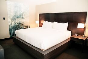 Tofino Resort & Marina